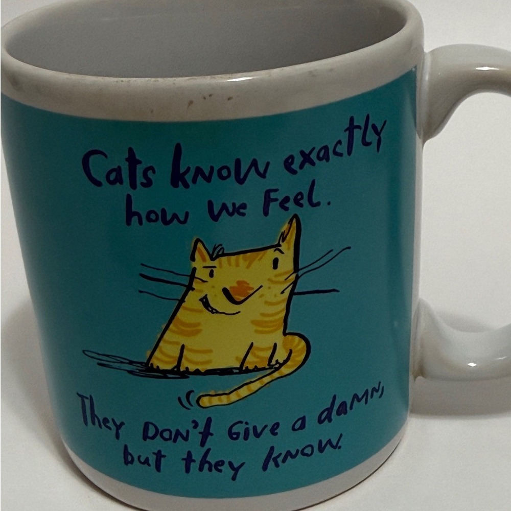 Carlton Cards Funny Cat Stoneware Mug Teal Orange Tabby MG 0156 K‎ Humor Cup